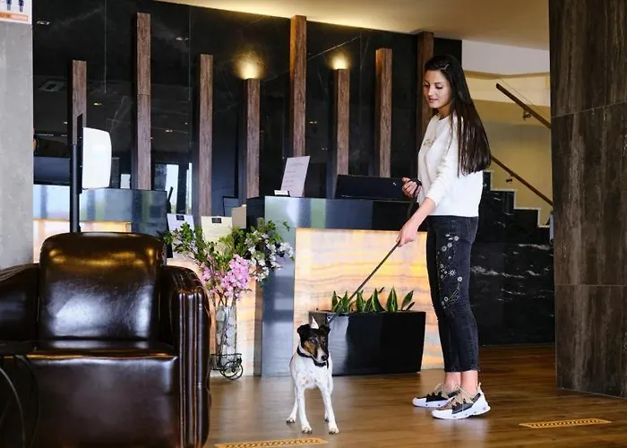 St Ivan Rilski Luxury アパート バンスコ