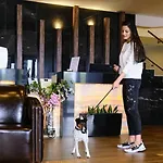St Ivan Rilski Luxury Apartamento Bansko