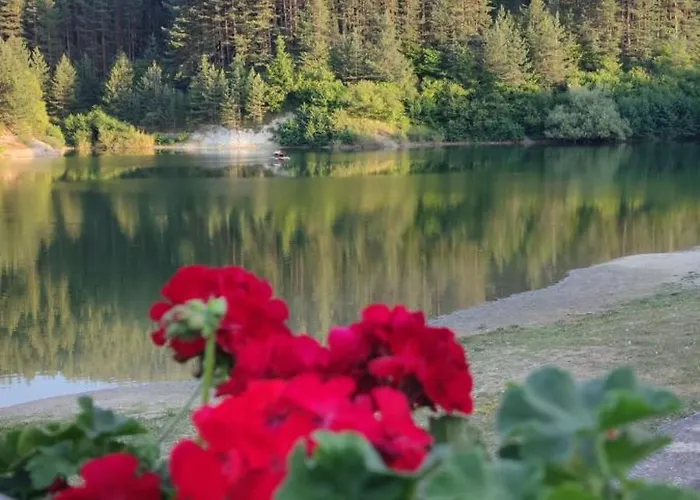 Apartament St Ivan Rilski Free Luxury